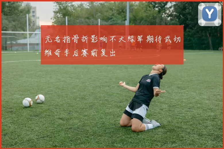 无名指骨折影响不大绿军期待武切维奇季后赛前复出